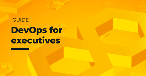 DevOps for exec guide EN 