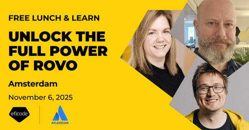 Rovo Lunch&Learn Amsterdam