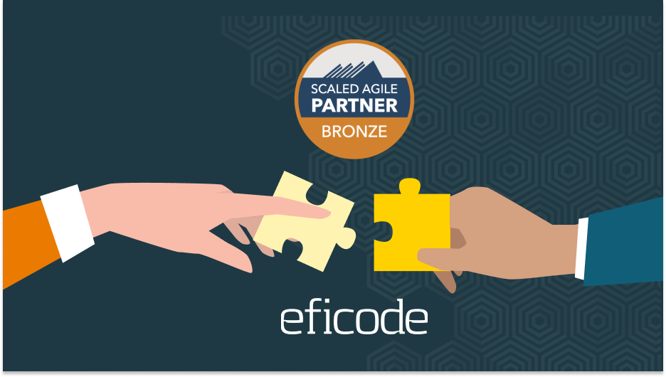 Scaled agile partnership