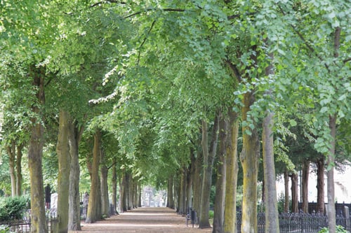 Old Cemetery Park, Malmo, Sweden