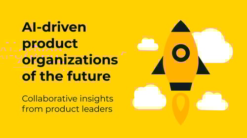 ai_driven_product_organizations_guide_image_collection