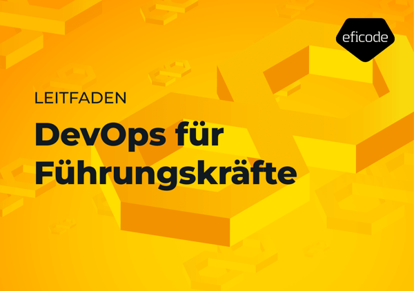 DevOps for exec DACH (6)