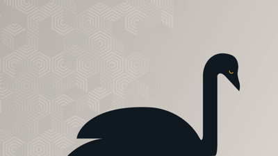 Black swan on a grey background with a pattern of hexagons