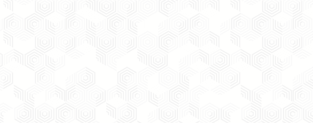Scaled agile bronze partner logo on grey pattern