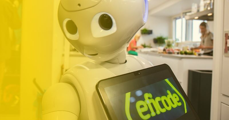 symptom ledsage Om Programming a Humanoid Robot Called Pepper